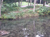 s_PICT0377_thumb.png
